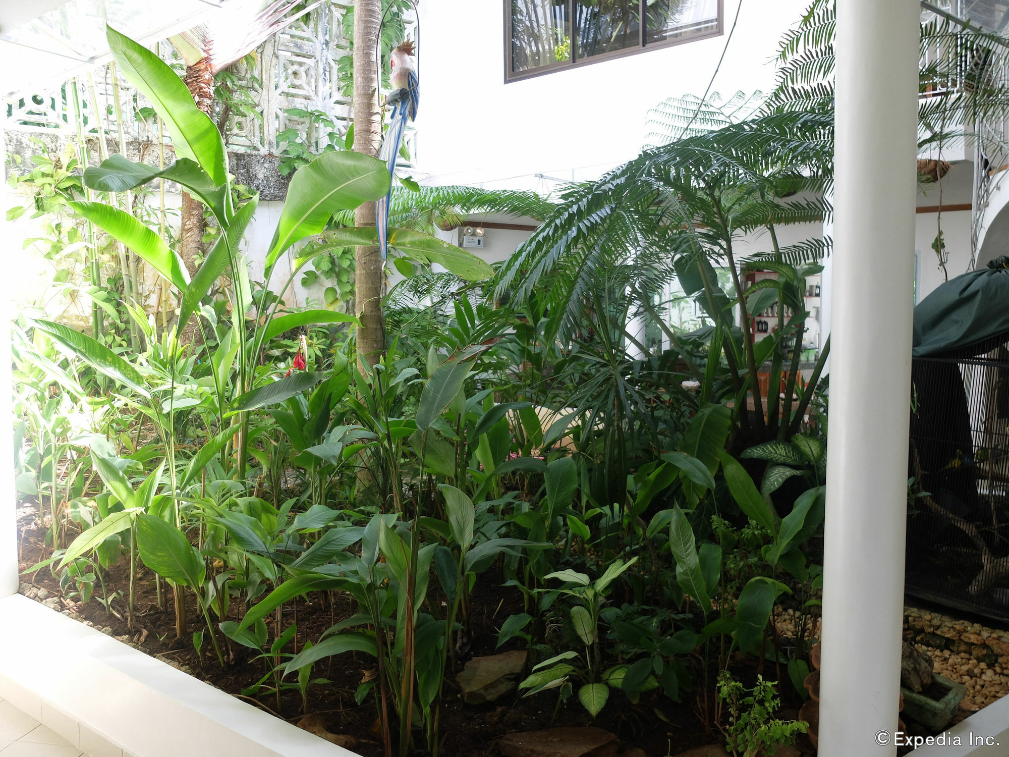 Argonauta Apartment Suites Yapak Bagian luar foto